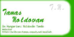 tamas moldovan business card